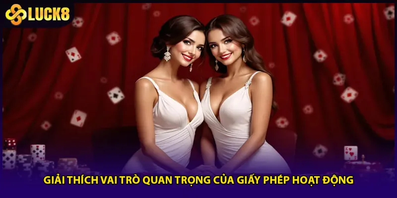 Giải thích vai trò quan trọng của giấy phép hoạt động